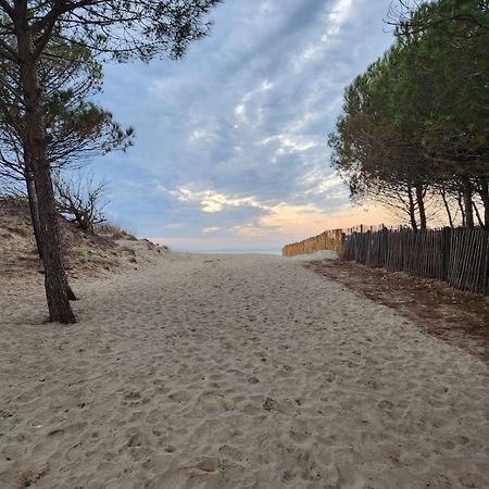 Le Peche Mignon - Appart 1 - Locationlatamarissiere Agde Zewnętrze zdjęcie