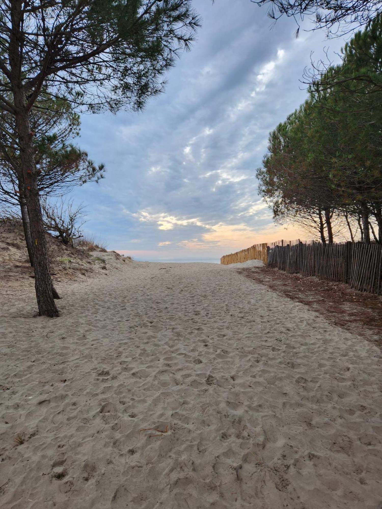 Le Peche Mignon - Appart 1 - Locationlatamarissiere Agde Zewnętrze zdjęcie